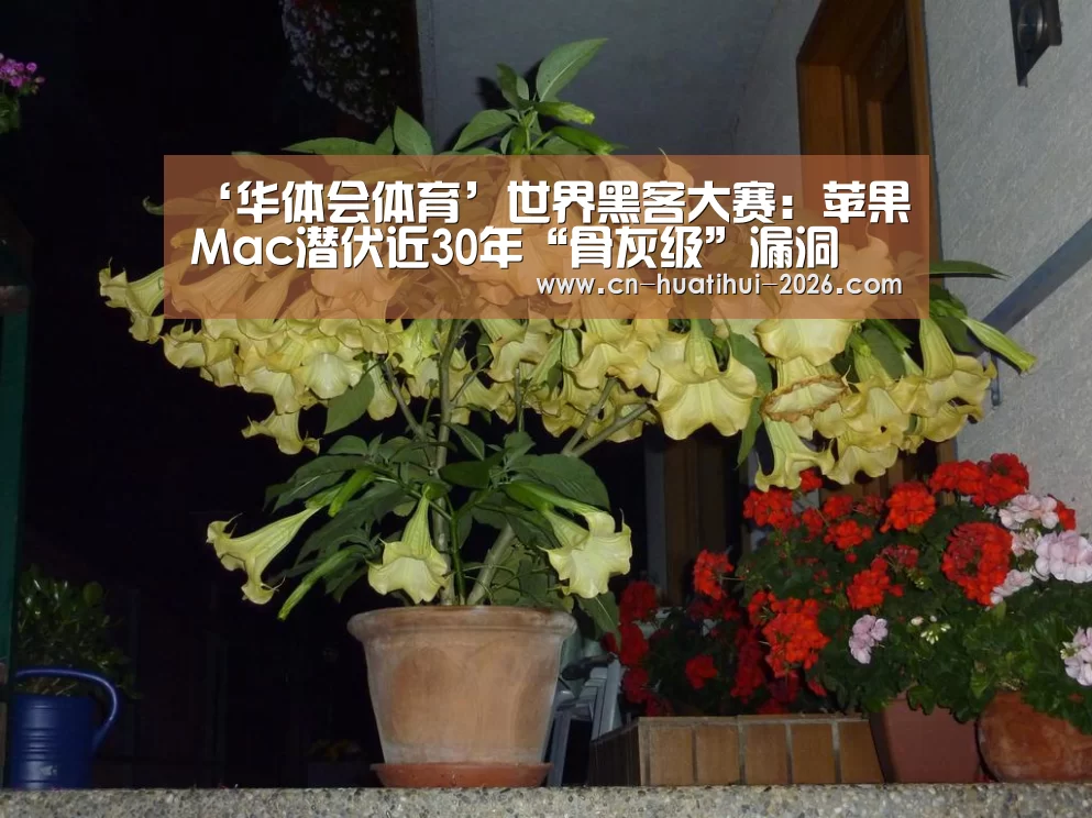 ‘华体会体育’世界黑客大赛：苹果Mac潜